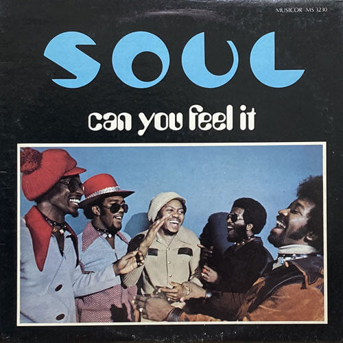 S.O.U.L. CAN YOU FEEL IT （USオリジナル） S.O.U.L. / CAN YOU FEEL IT – VINYL CHAMBER