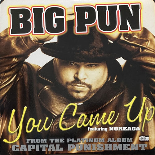 BIG PUNISHER / YOU CAME UP – VINYL CHAMBER