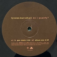 画像をギャラリービューアに読み込む, LYNDEN DAVID HALL / DO I QUALIFY?