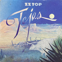 画像をギャラリービューアに読み込む, ZZ TOP / TEJAS