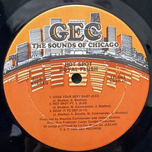 画像をギャラリービューアに読み込む, ROYAL FLUSH / HOT SPOT