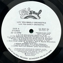 画像をギャラリービューアに読み込む, LUV YOU MADLY ORCHESTRA / LUV YOU MADLY ORCHESTRA