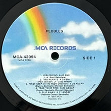 画像をギャラリービューアに読み込む, PEBBLES / PEBBLES