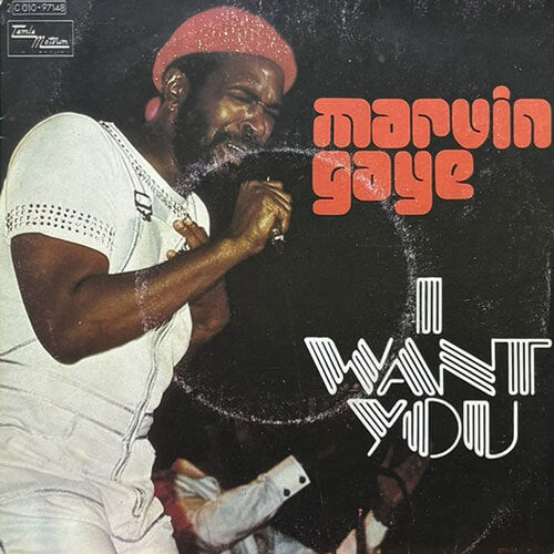 MARVIN GAYE / I WANT YOU