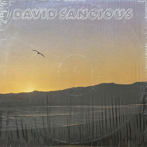 DAVID SANCIOUS / DAVID SANCIOUS