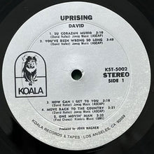 画像をギャラリービューアに読み込む, DAVID / UPRISING
