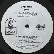画像をギャラリービューアに読み込む, DAVID / UPRISING
