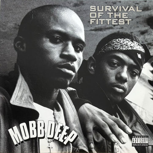 MOBB DEEP / SURVIVAL OF THE FITTEST – VINYL CHAMBER