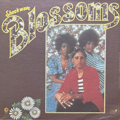 廃盤 CD カラヴァッジョ 天才画家の光と影 サウンドトラック ルイス・バカロフ BLOSSOMS / SHOCKWAVE – VINYL CHAMBER