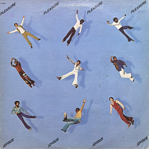 US/ Pleasure Joyous LP レコード PLEASURE / JOYOUS (LP) - HIP TANK RECORDS