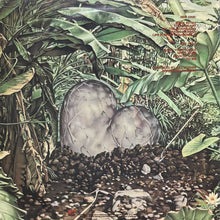 画像をギャラリービューアに読み込む, BRICK / STONEHEART