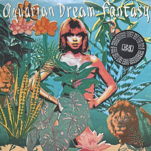 洋楽 aquarian dream fantasy raregroove disco AQUARIAN DREAM / FANTASY – VINYL CHAMBER