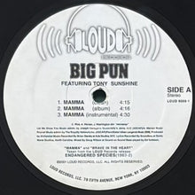 画像をギャラリービューアに読み込む, BIG PUN / MAMMA/BRAVE IN THE HEART