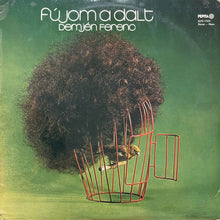 画像をギャラリービューアに読み込む, DEMJEN DERENO / FUJOM A DALT