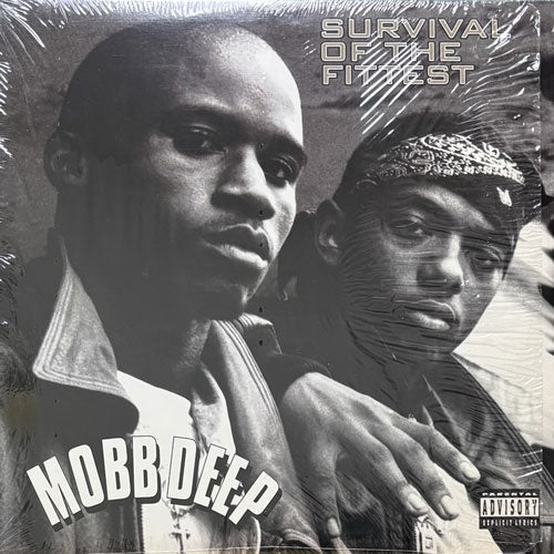 アルバム2枚セット　MOBB DEEP 2nd,3rd LP MOBB DEEP / SURVIVAL OF THE FITTEST – VINYL CHAMBER