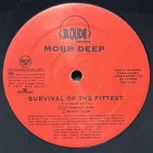 画像をギャラリービューアに読み込む, MOBB DEEP / SURVIVAL OF THE FITTEST
