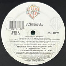 画像をギャラリービューアに読み込む, BUSH BABEES / THE LOVE SONG (THE REMIX)