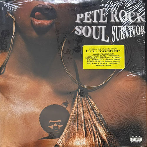 PETE ROCK / SOUL SURVIVOR – VINYL CHAMBER