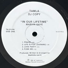 画像をギャラリービューアに読み込む, MARVIN GAYE / IN OUR LIFETIME (PROMO)