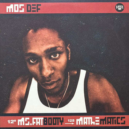 MOS DEF / MS. FAT BOOTY/MATHEMATICS – VINYL CHAMBER
