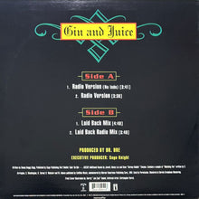 画像をギャラリービューアに読み込む, SNOOP DOGGY DOGG / GIN & JUICE