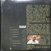 画像をギャラリービューアに読み込む, FAT JOE / SUCCESS/PART DEUX