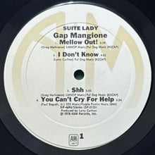 画像をギャラリービューアに読み込む, GAP MANGIONE / SUITE LADY