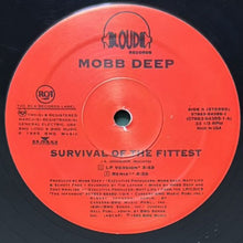 画像をギャラリービューアに読み込む, MOBB DEEP / SURVIVAL OF THE FITTEST