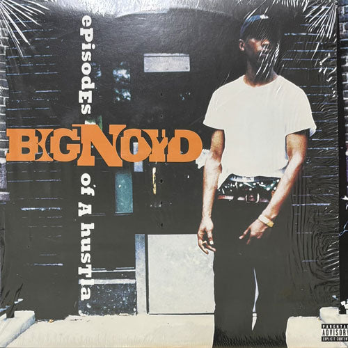 BIG NOYD / EPISODES OF A HUSTLA – VINYL CHAMBER