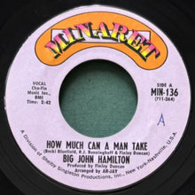 画像をギャラリービューアに読み込む, BIG JOHN HAMILTON / HOW MUCH CAN A MAN TAKE/BIG FANNY