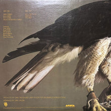 画像をギャラリービューアに読み込む, DAVE VALENTIN / THE HAWK