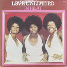 画像をギャラリービューアに読み込む, LOVE UNLIMITED / IN HEAT