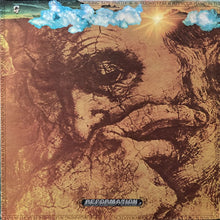 画像をギャラリービューアに読み込む, CALIFORNIA EARTHQUAKE / REFORMATION