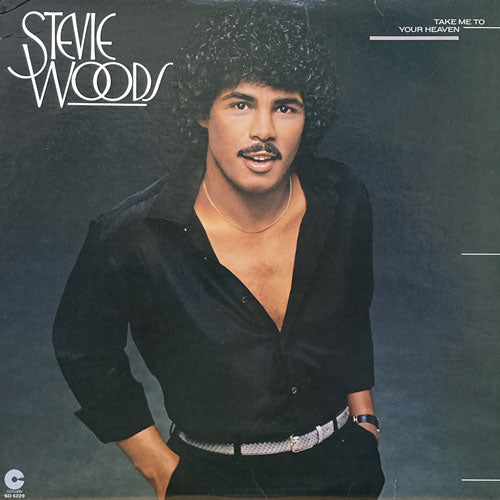 STEVIE WOODS / TAKE ME TO YOUR HEAVEN – VINYL CHAMBER