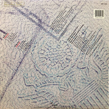 画像をギャラリービューアに読み込む, EMIGRE / S/T