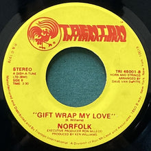 画像をギャラリービューアに読み込む, NORFOLK / DON'T ASK ME/GIFT WRAP MY LOVE