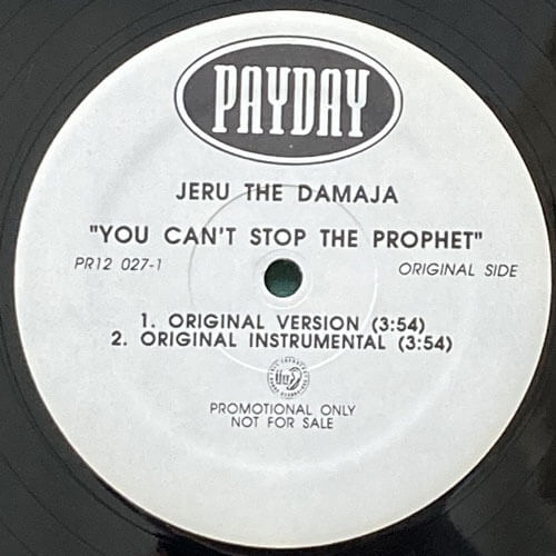 JERU THE DAMAJA / YOU CAN'T STOP THE PROPHET – VINYL CHAMBER
