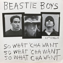 画像をギャラリービューアに読み込む, BEASTIE BOYS / SO WHAT'CHA WANT/THE SKILLS TO PAY THE BILLS/GROOVE HOLMES
