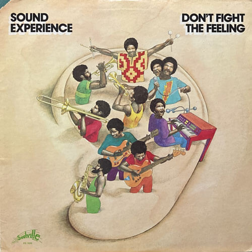SOUND EXPERIENCE / DON'T FIGHT THE FEELING – VINYL CHAMBER