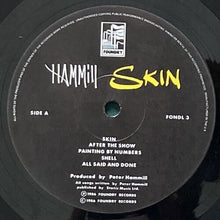 画像をギャラリービューアに読み込む, PETER HAMMILL / SKIN