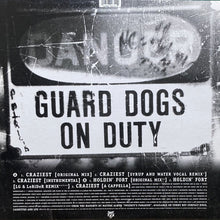 画像をギャラリービューアに読み込む, NAUGHTY BY NATURE / CRAZIEST/HOLDIN' FORT