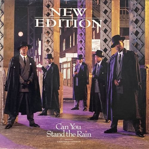 NEW EDITON / CAN YOU STAND THE RAIN/IF IT ISN'T LOVE – VINYL CHAMBER