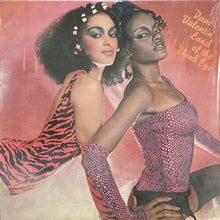 画像をギャラリービューアに読み込む, DAVE VALENTIN / LAND OF THE THIRD EYE