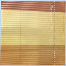 画像をギャラリービューアに読み込む, MAXWELL / NOW