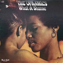 画像をギャラリービューアに読み込む, DYNAMICS / WHAT A SHAME