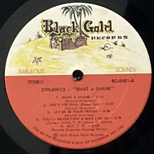 画像をギャラリービューアに読み込む, DYNAMICS / WHAT A SHAME