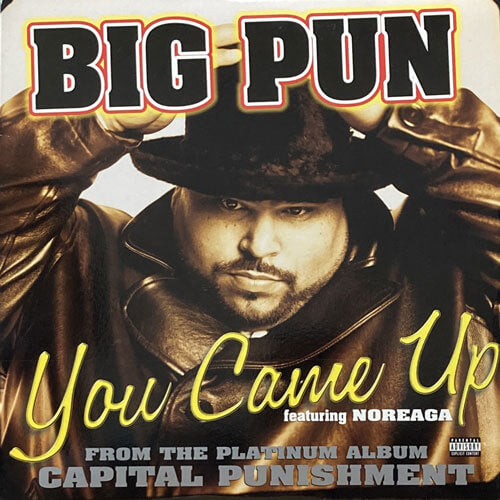 BIG PUNISHER / YOU CAME UP