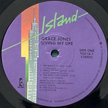 画像をギャラリービューアに読み込む, GRACE JONES / LIVING MY LIFE
