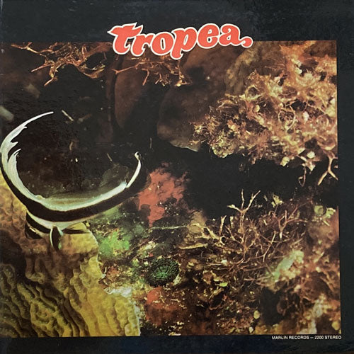 TROPEA / TROPEA