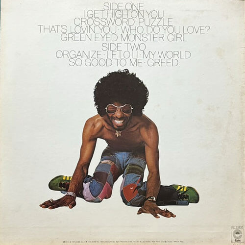Sly Stone High On You レコード Sly Stone – High On You – Vinyl (LP, Album, Reissue